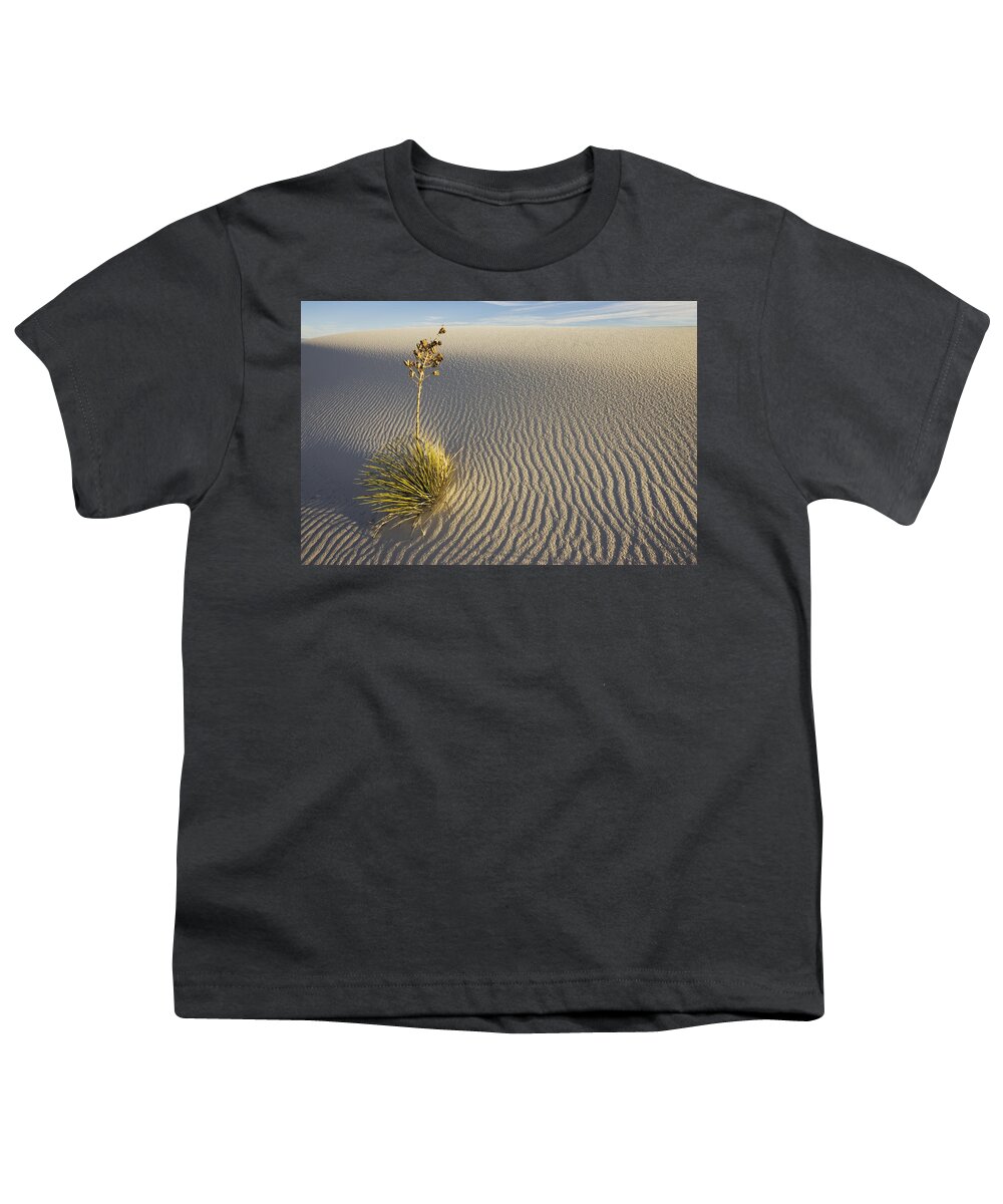 Mp Youth T-Shirt featuring the photograph Soaptree Yucca Yucca Elata Growing by Konrad Wothe