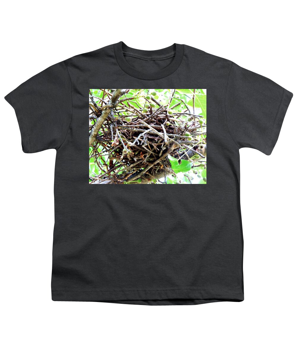 Bird Youth T-Shirt featuring the photograph Sturdy Bird Nest by Renee Trenholm