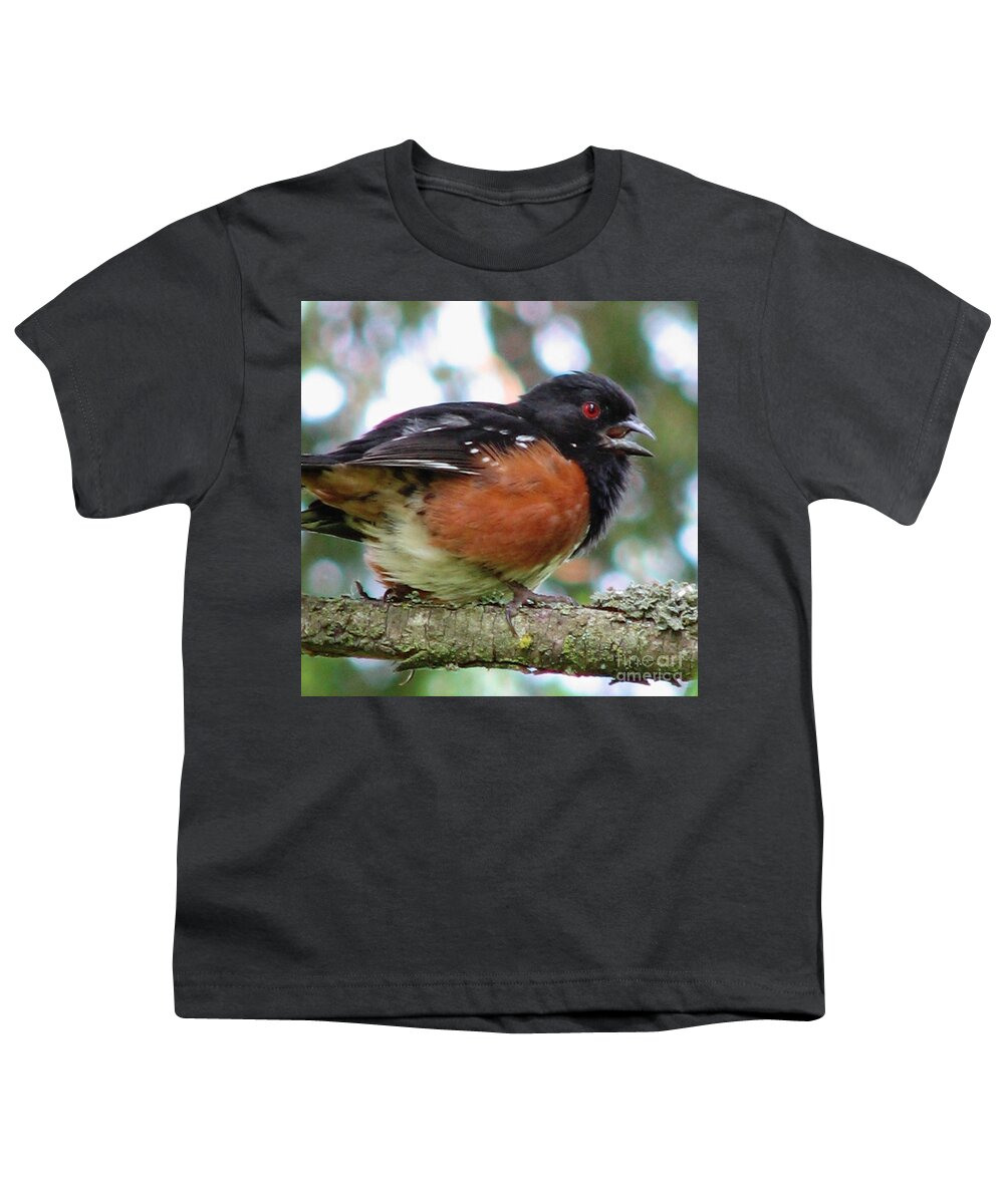 Birds Youth T-Shirt featuring the photograph Talkative Spotted Towhee by Rory Siegel