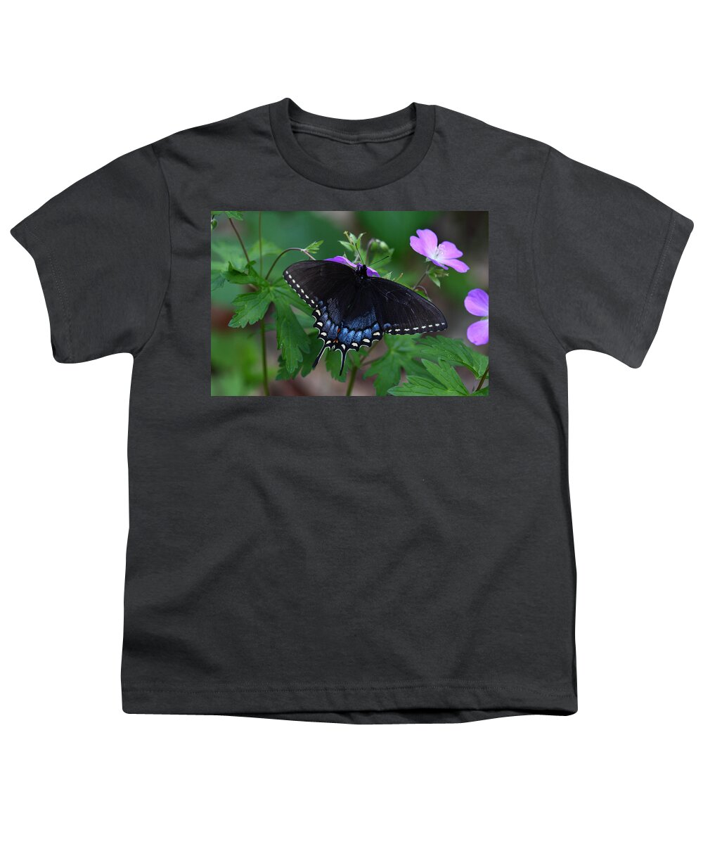 Butterfly Youth T-Shirt featuring the photograph Tiger Swallowtail Female Dark Form On Wild Geranium by Daniel Reed
