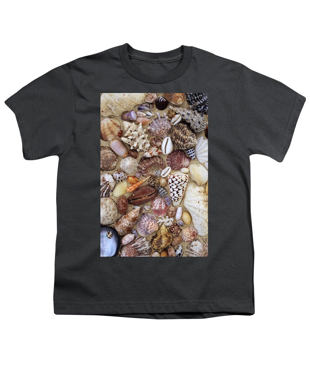 00277779 Youth T-Shirt featuring the photograph Various Conch, Cowry, Clam And Other by Rinie Van Meurs