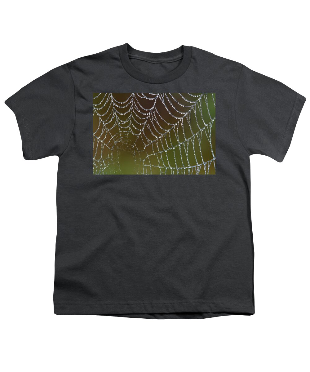  Youth T-Shirt featuring the photograph Web With Dew by Daniel Reed