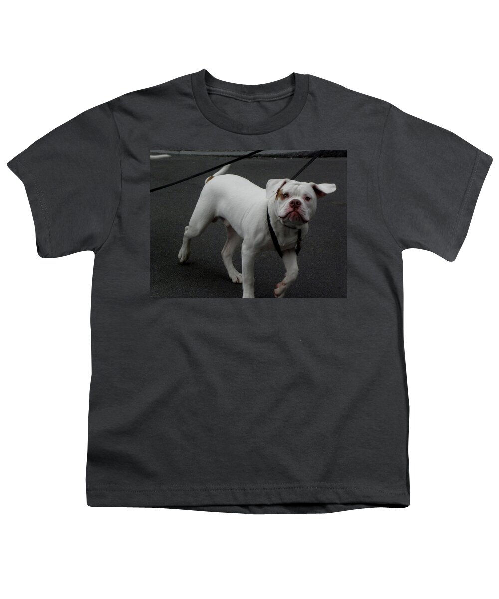 Boxer Youth T-Shirt featuring the photograph What A Face by Kim Galluzzo