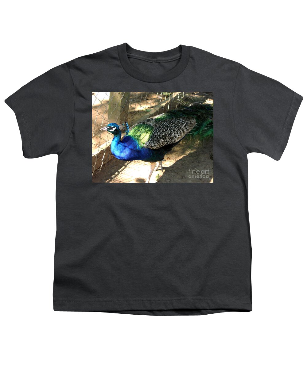 Peacock Youth T-Shirt featuring the photograph What's Out There? by Rory Siegel