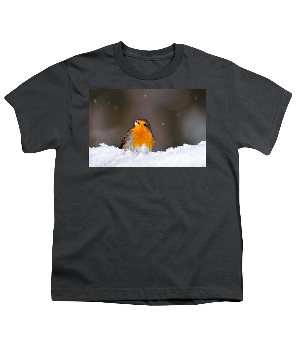 Robin In Snow Youth T-Shirt featuring the photograph Robin in the Snow by Gavin Macrae