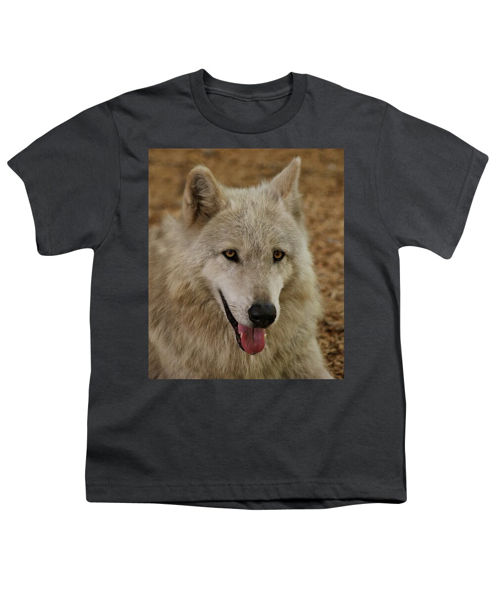 Wolf Youth T-Shirt featuring the photograph Wolf by Sandy Keeton
