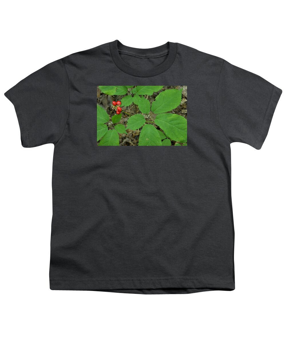 Plant Youth T-Shirt featuring the photograph American Ginseng #1 by Alan Lenk
