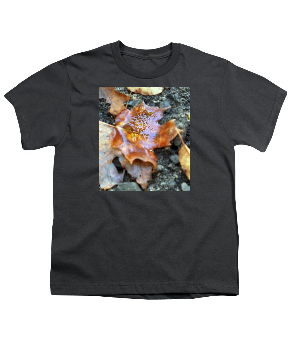 Leaves Youth T-Shirt featuring the photograph Autumn Leaves #1 by Wolfgang Schweizer
