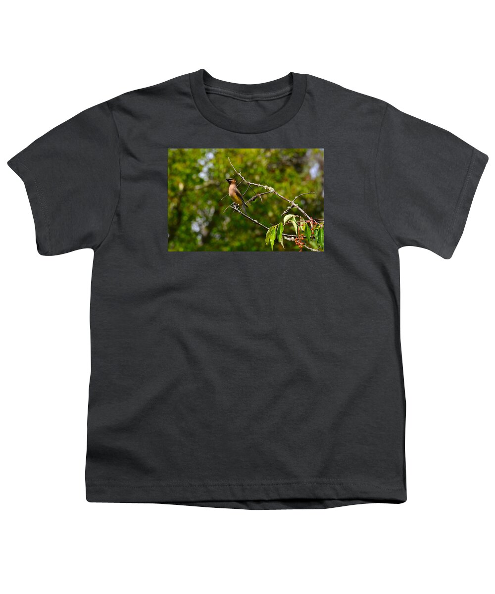  Youth T-Shirt featuring the photograph Cedar Waxwing #1 by Dan Hefle