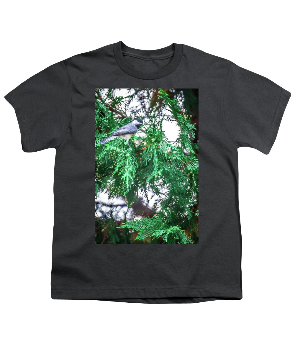 Lovely Youth T-Shirt featuring the photograph Chickadee Perched On An Evergreen Tree #1 by Alex Grichenko