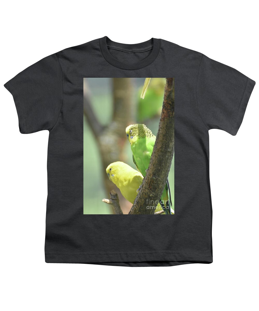 Budgie Youth T-Shirt featuring the photograph Couple of Green and Yellow Budgerigar Sitting in a Tree #1 by DejaVu Designs