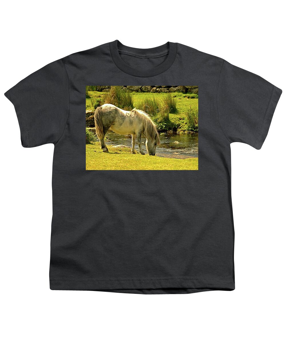 Animals Youth T-Shirt featuring the photograph Dartmoor Pony #2 by Richard Denyer