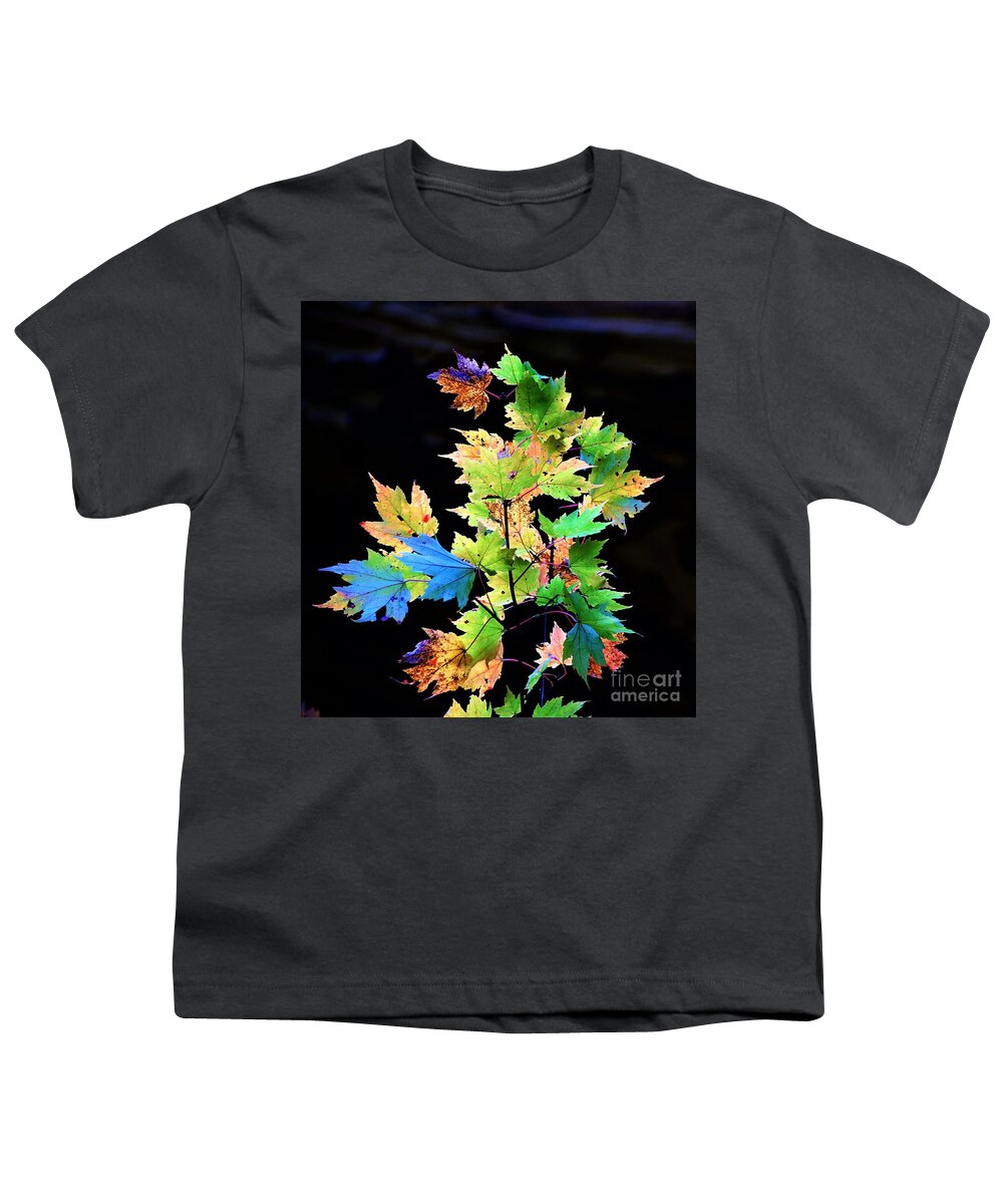 Autumn Youth T-Shirt featuring the photograph Fall Leaves #1 by Merle Grenz