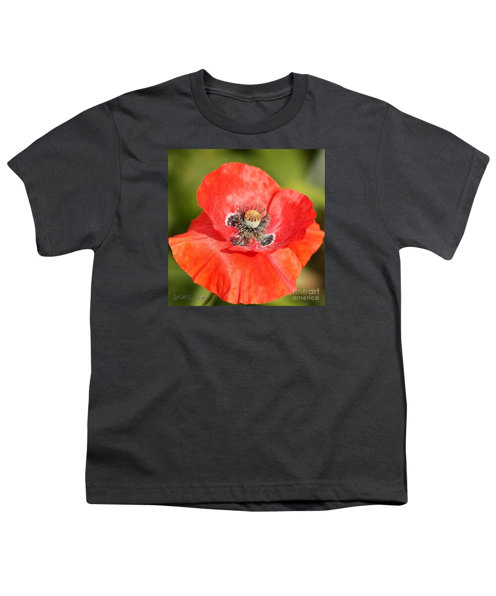 Mccombie Youth T-Shirt featuring the photograph Flanders Poppy #5 by J McCombie