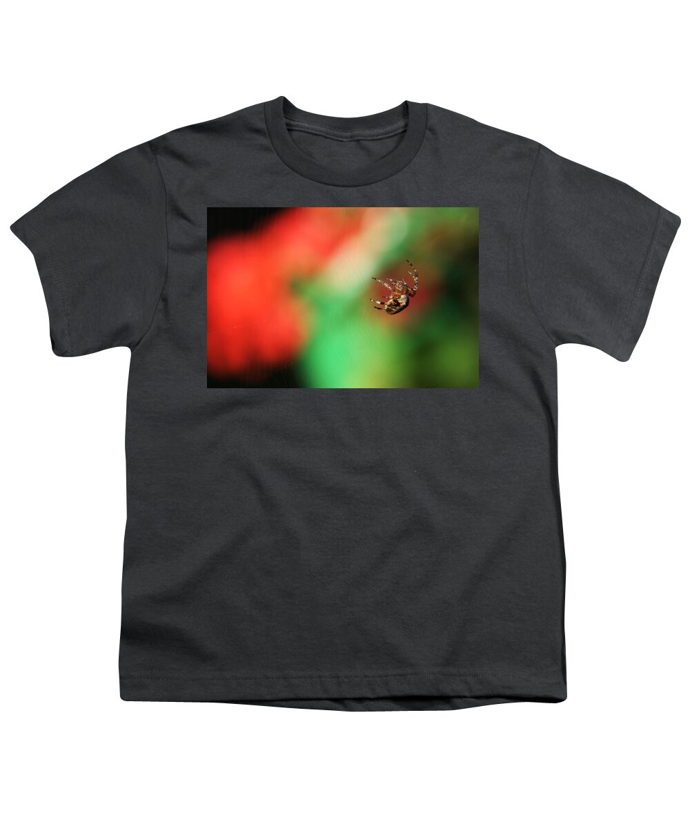 Orb Web Youth T-Shirt featuring the photograph Garden Cross Spider #1 by Chris Day