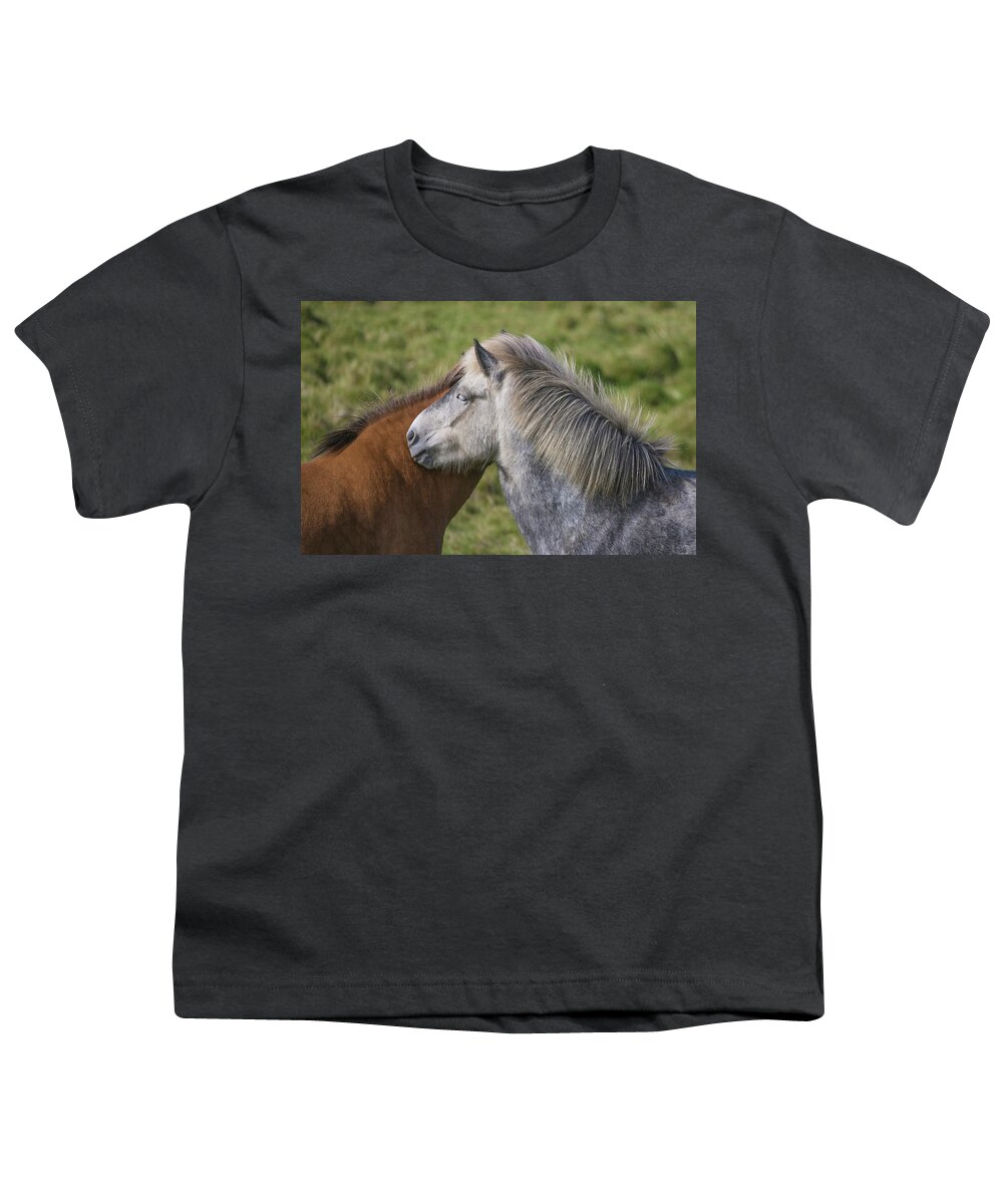 Icelandic Horses Youth T-Shirt featuring the photograph Lean on me by Elvira Butler