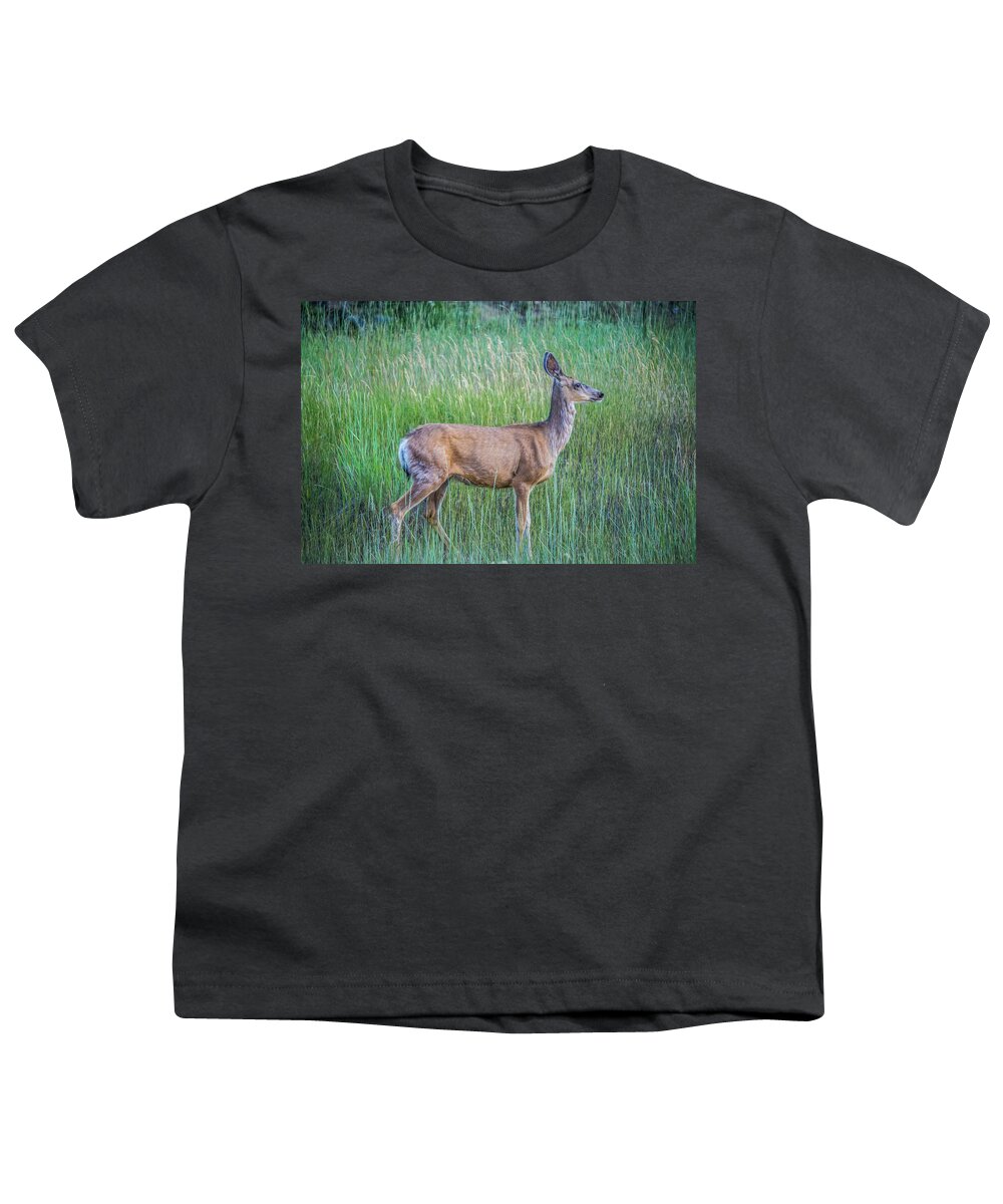 Red Youth T-Shirt featuring the photograph Montana Red Deer Doe Grazing In Field #1 by Alex Grichenko