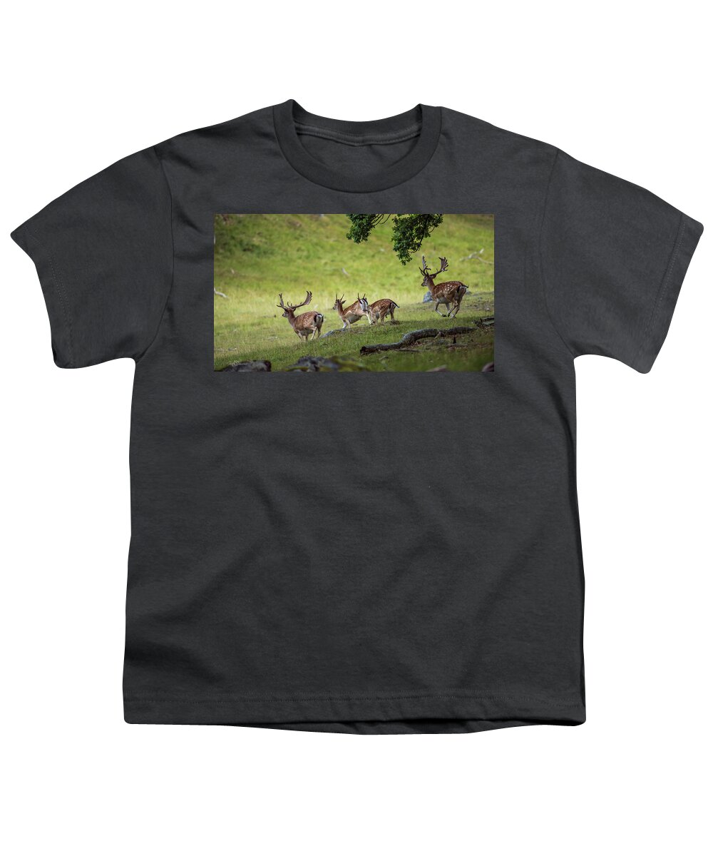 Four Fallow Deer Bucks Youth T-Shirt featuring the photograph On the run by Torbjorn Swenelius
