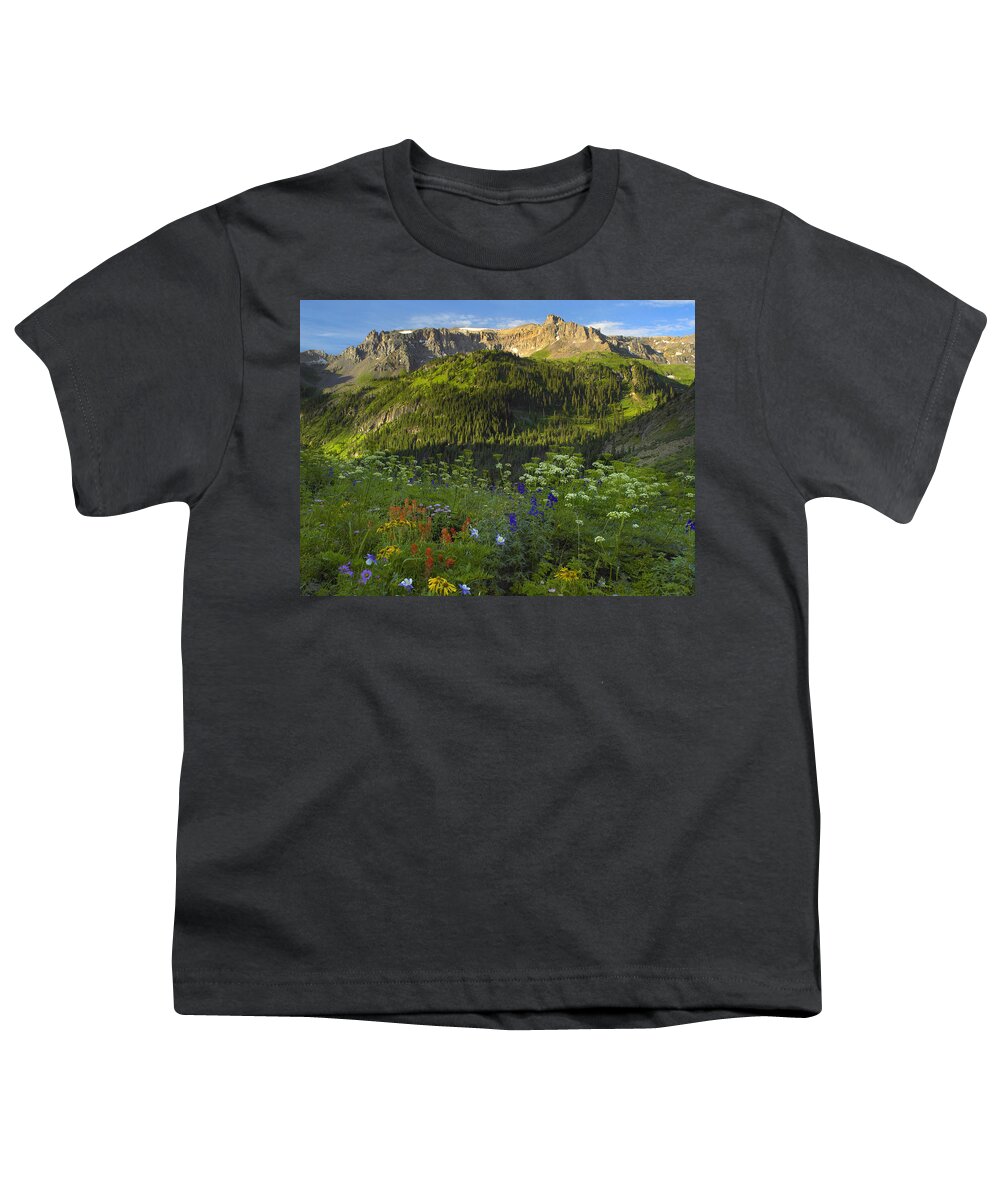 00176054 Youth T-Shirt featuring the photograph Orange Sneezeweed And Indian Paintbrush #1 by Tim Fitzharris