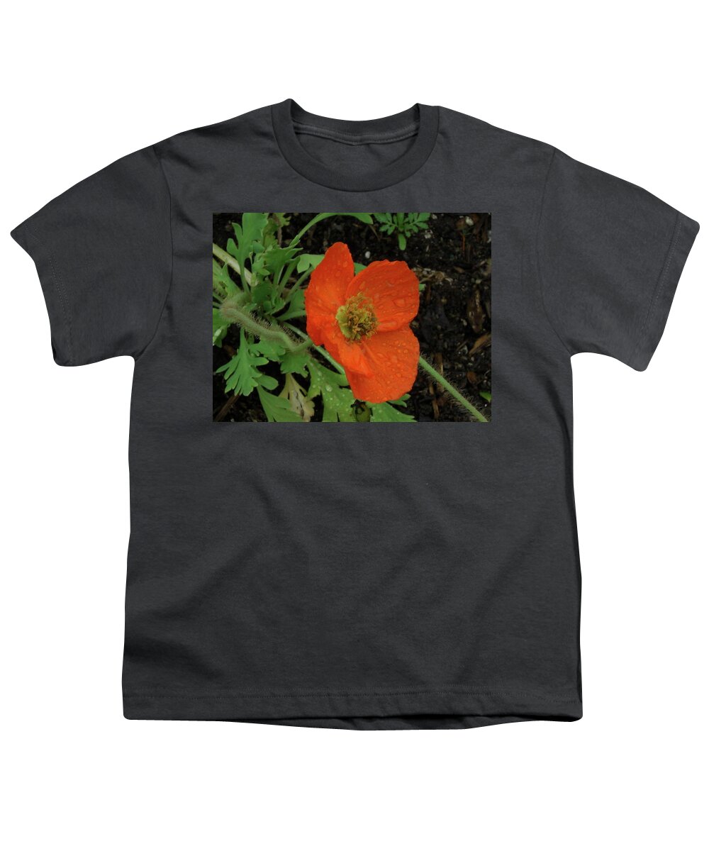 Poppies Youth T-Shirt featuring the photograph Poppies #1 by Mark J Dunn