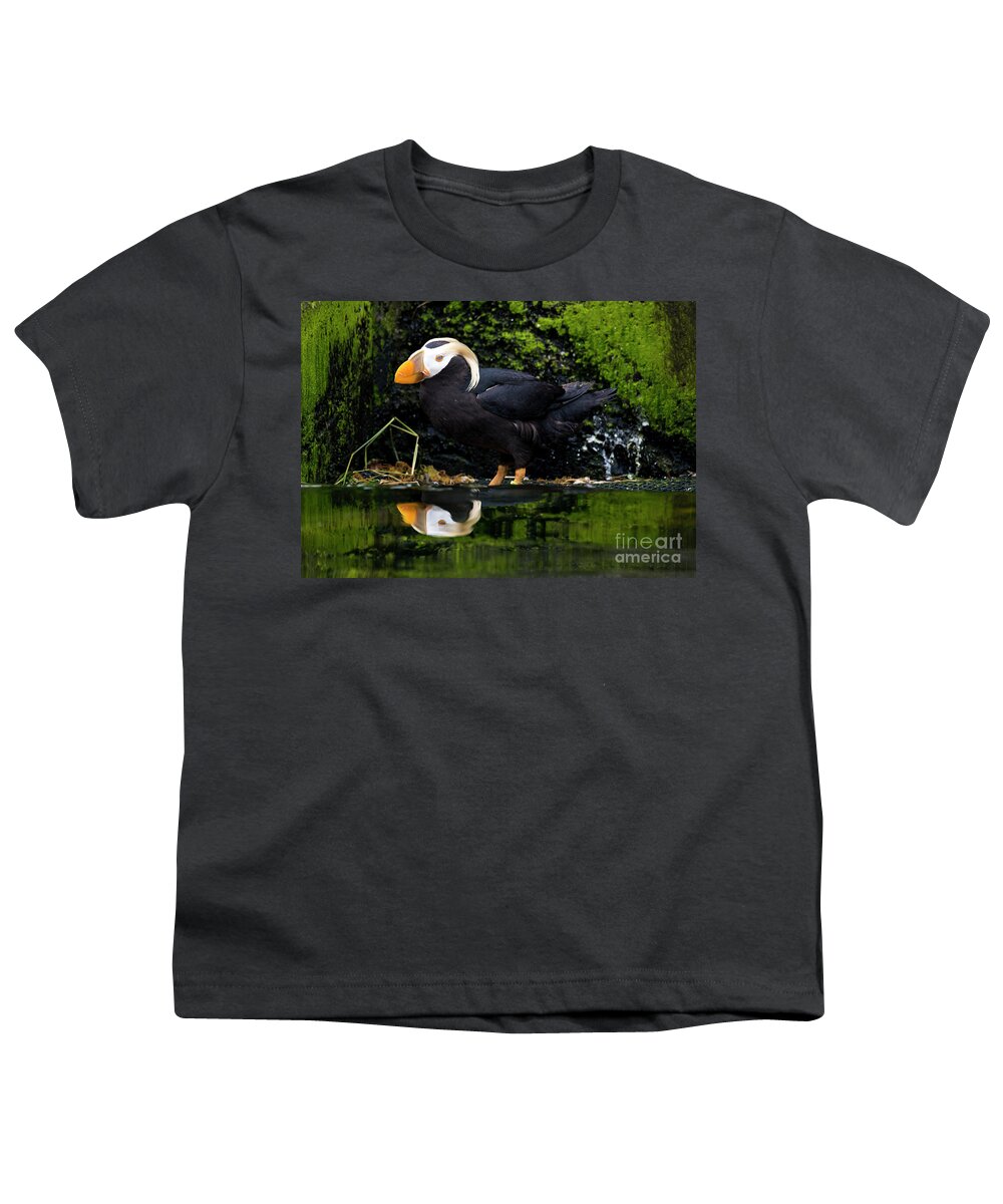 Tufted Puffin Youth T-Shirt featuring the photograph Puffin Reflected #2 by Michael Dawson