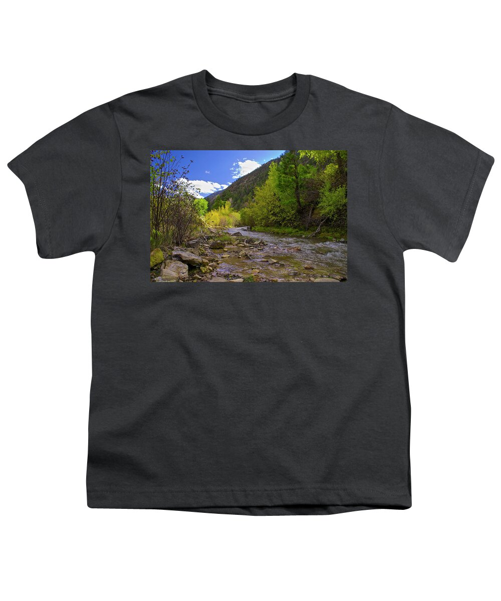 Image Type Youth T-Shirt featuring the photograph Red River New Mexico #2 by Donald Pash