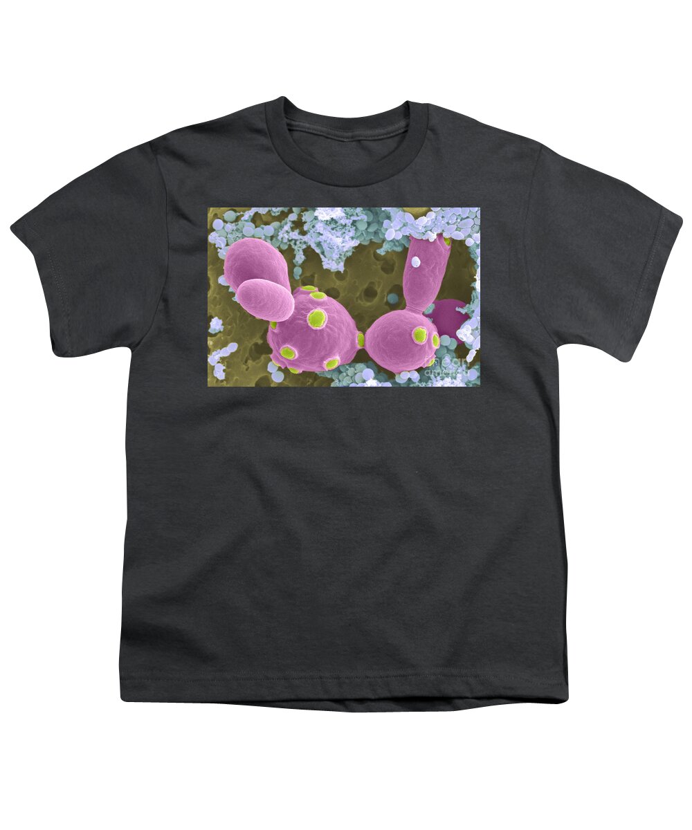 Saccharomyces Cerevisiae Youth T-Shirt featuring the photograph Saccharomyces Cerevisiae Sem #1 by Scimat