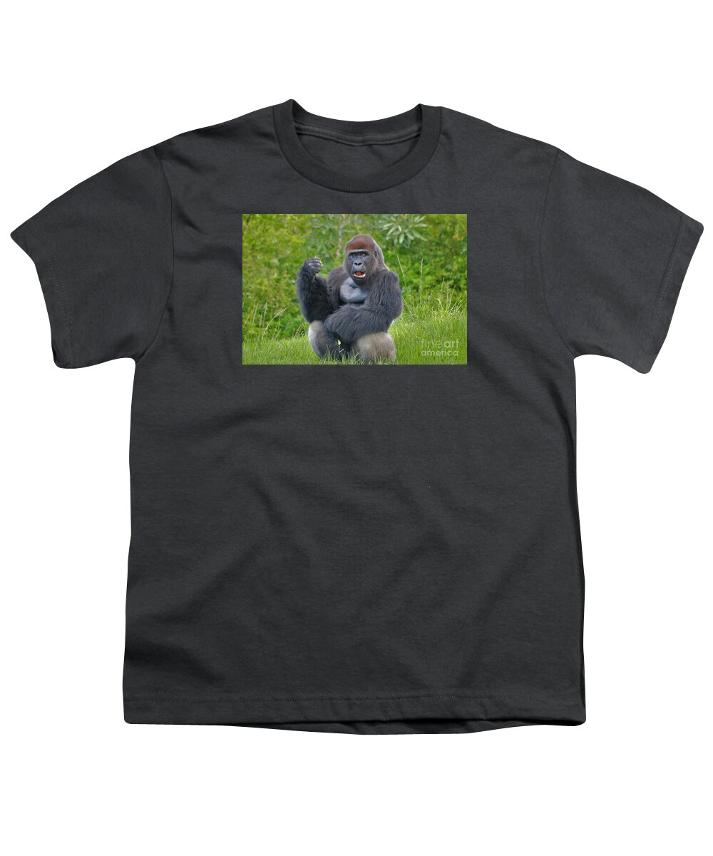 Silverback Youth T-Shirt featuring the photograph 1- Silverback Western Lowland Gorilla by Joseph Keane