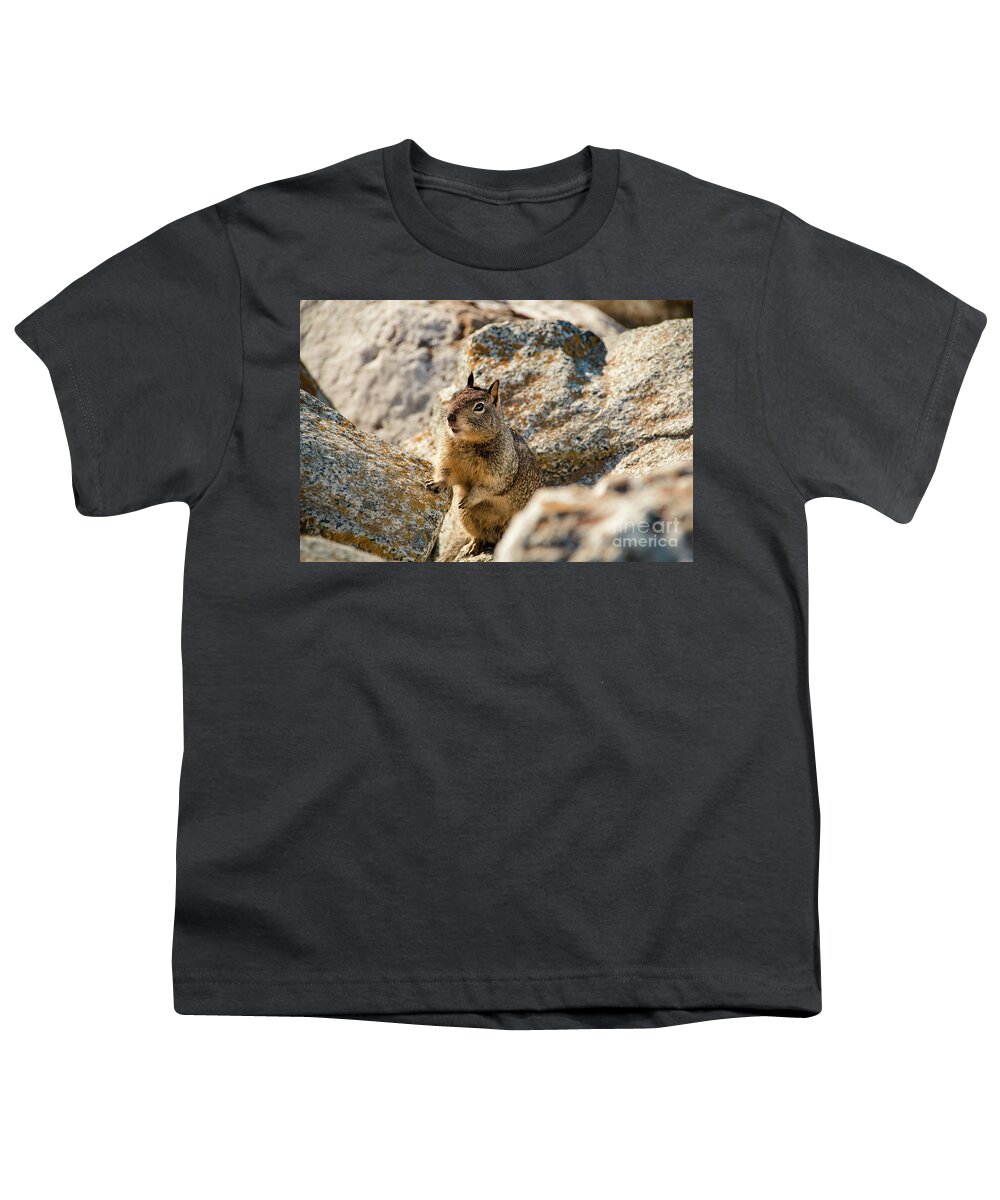 Curious Youth T-Shirt featuring the photograph Sweet Curious California Ground Squirrel, Animal In California #1 by Amanda Mohler