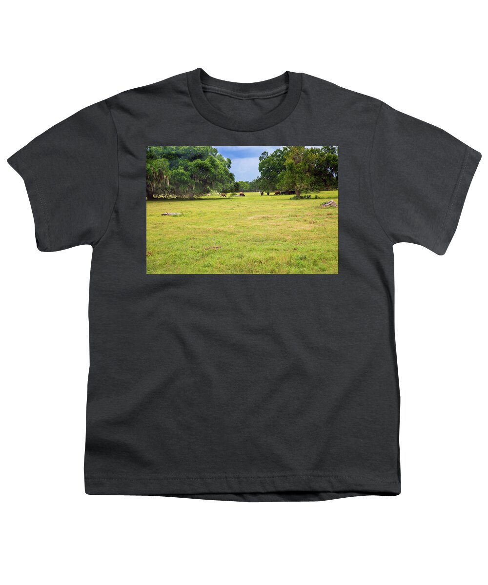 Cows Youth T-Shirt featuring the photograph The Meadow #1 by Judy Wright Lott