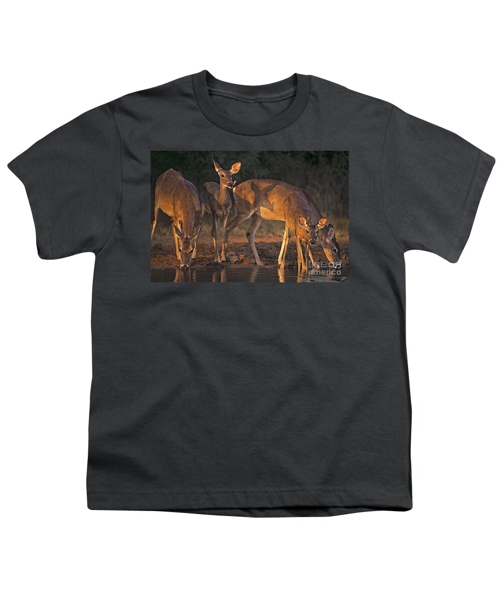 North America Youth T-Shirt featuring the photograph Whitetail Deer at Waterhole Texas #1 by Dave Welling