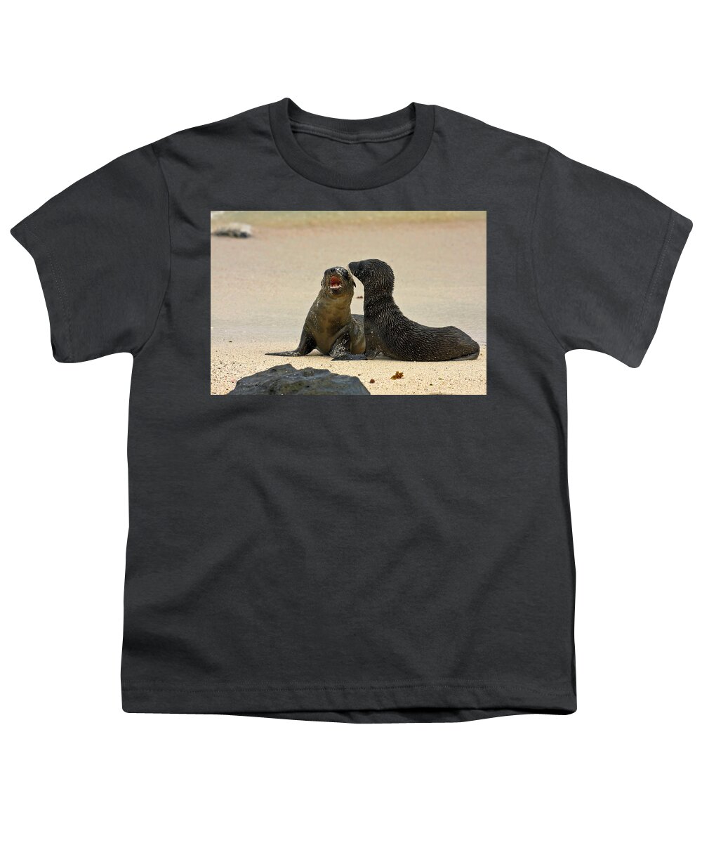 2 Young Galapagos Sea Lions Youth T-Shirt featuring the photograph Young Galapagos Sea Lions #1 by Sally Weigand