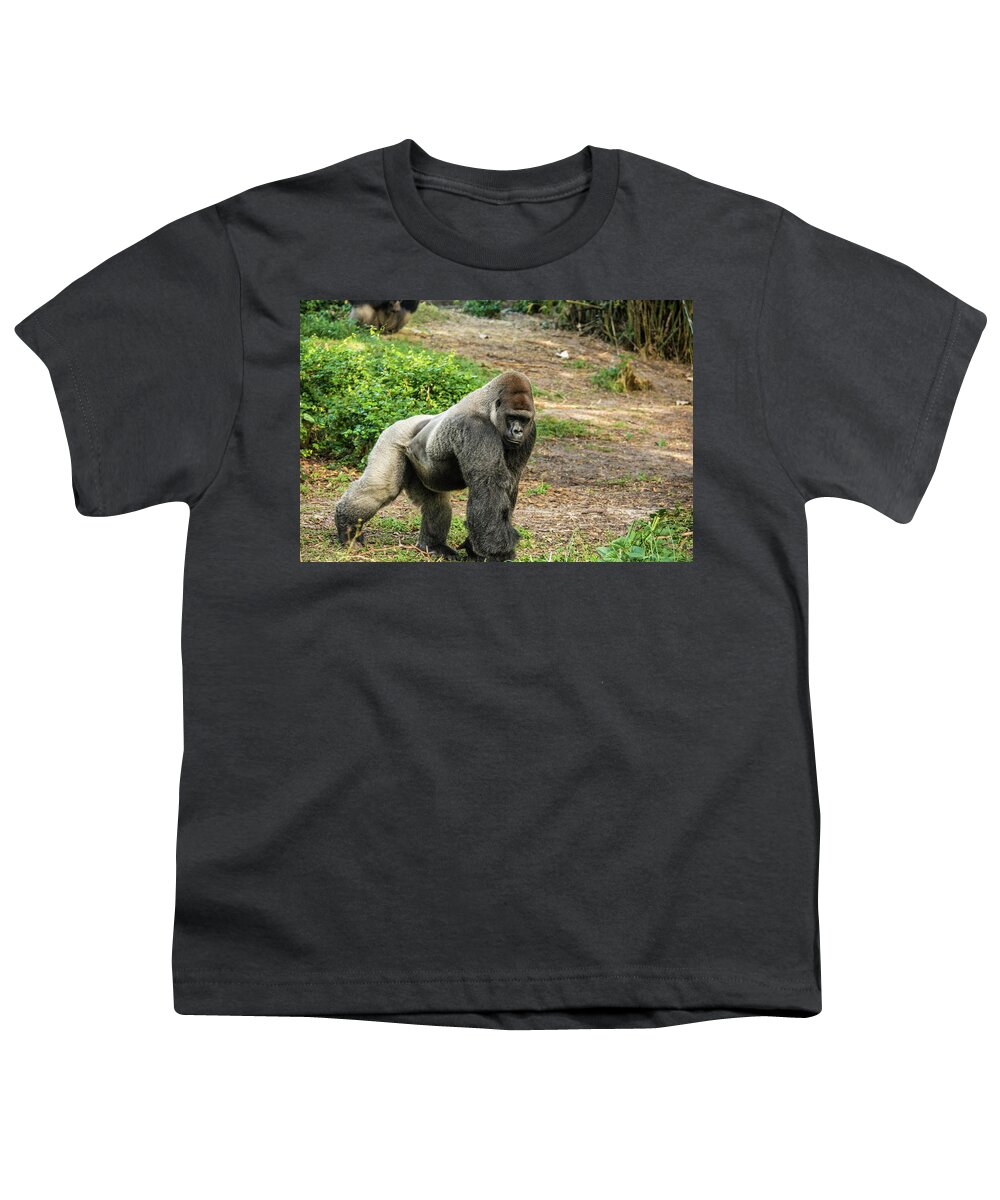 Gorilla Youth T-Shirt featuring the photograph 10899 Gorilla by Pamela Williams