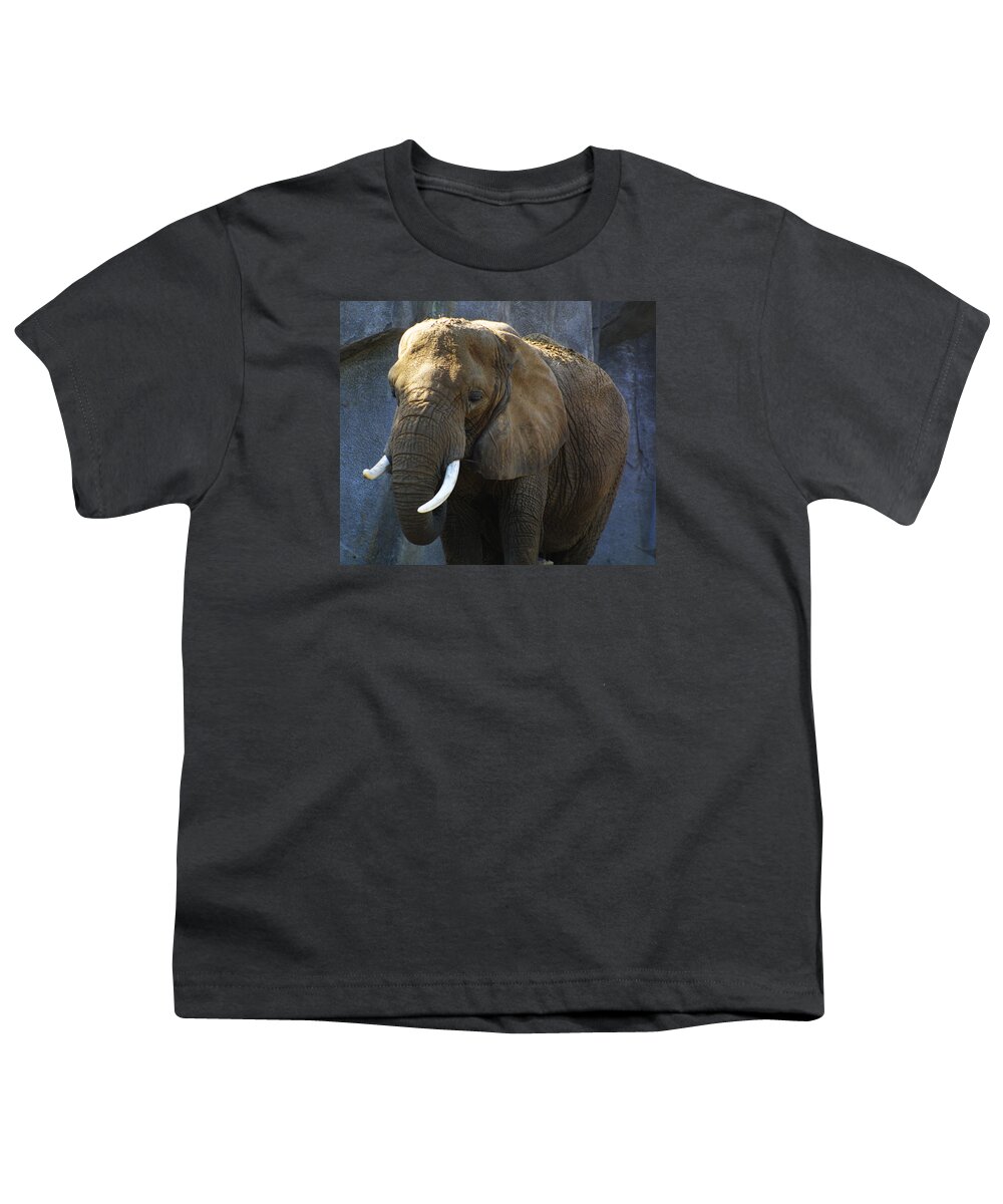 Zoo Youth T-Shirt featuring the photograph Zoo Scapes #11 by Jean Wolfrum