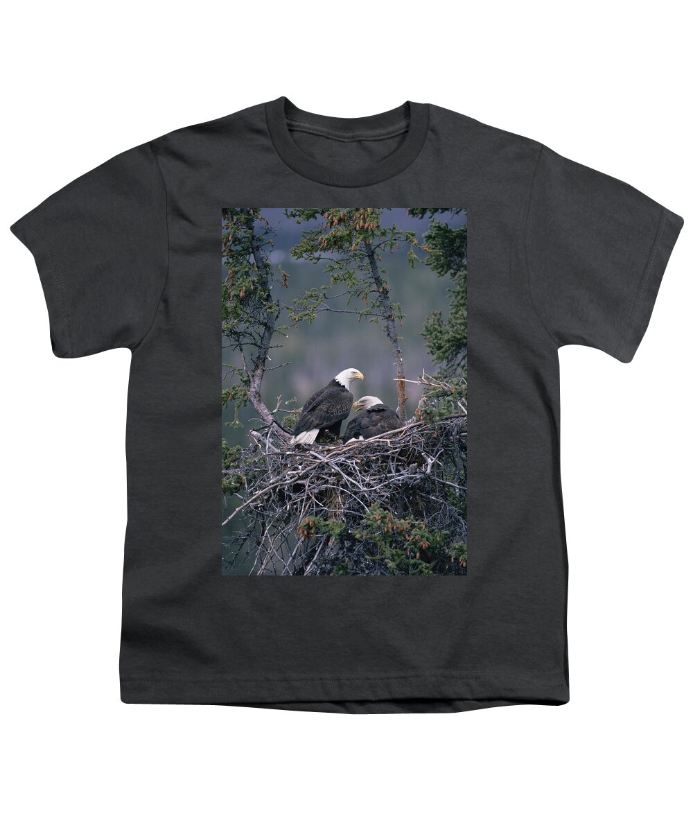 Mp Youth T-Shirt featuring the photograph Bald Eagle Haliaeetus Leucocephalus #2 by Michael Quinton