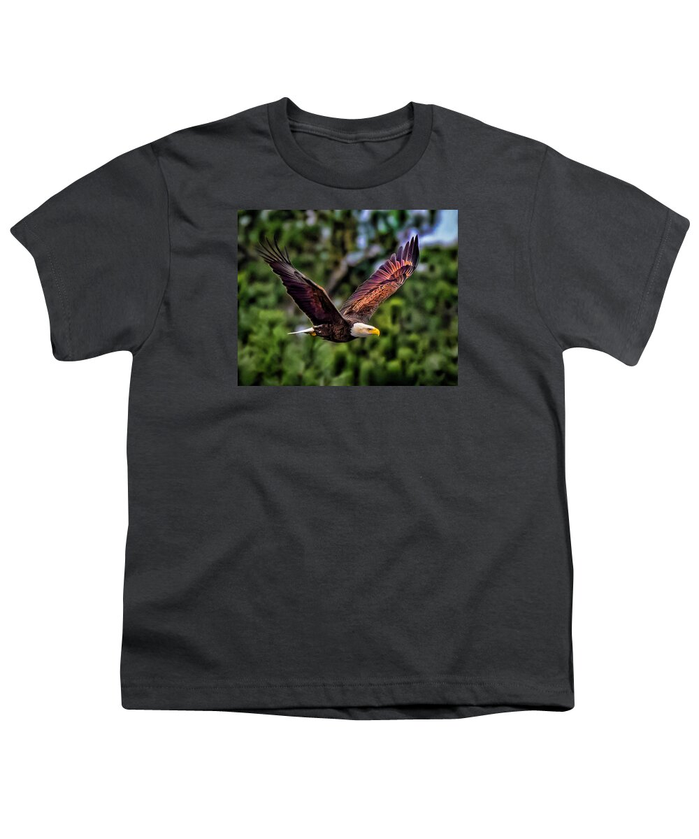 Bald Eagle Youth T-Shirt featuring the photograph Bald Eagle #2 by Joe Granita