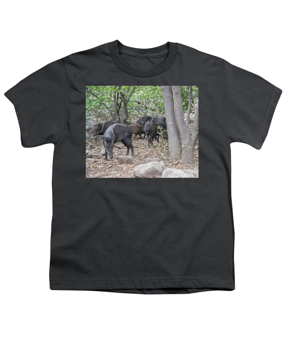 Animals Youth T-Shirt featuring the digital art Collared Peccary #2 by Carol Ailles
