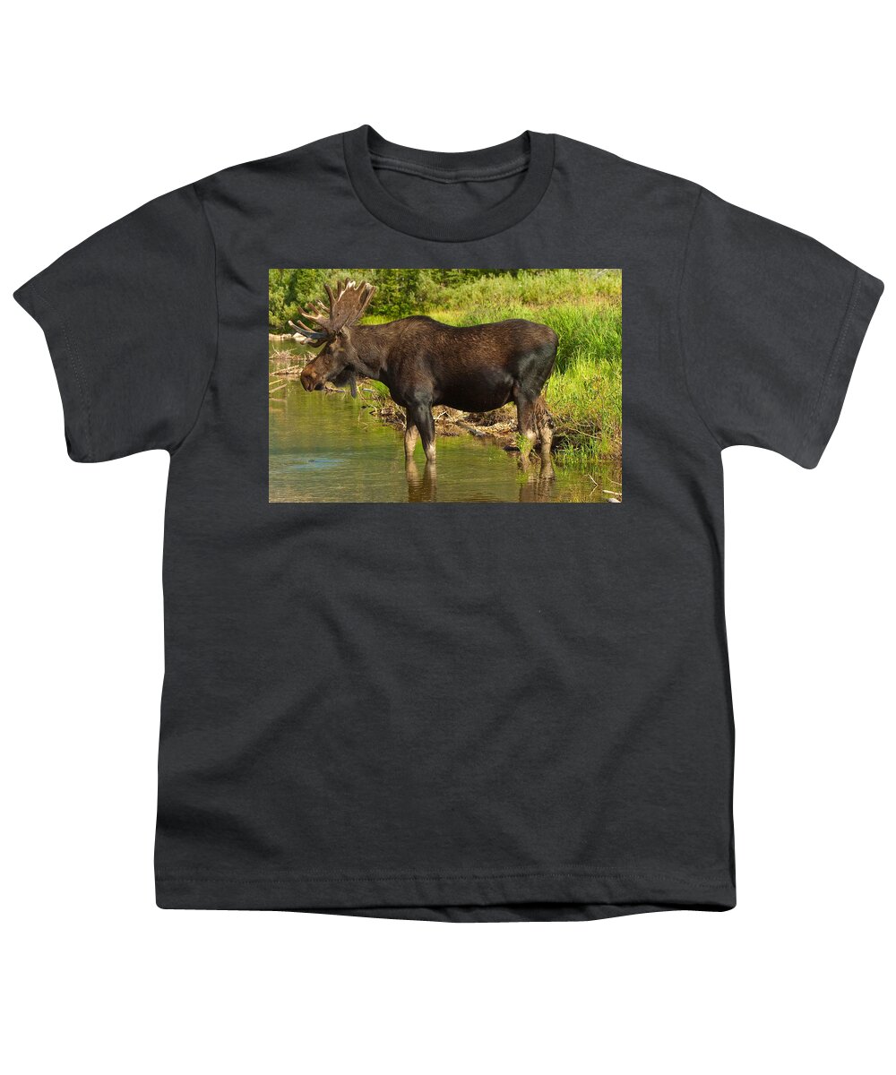 Bull Moose Youth T-Shirt featuring the photograph Moose #2 by Sebastian Musial