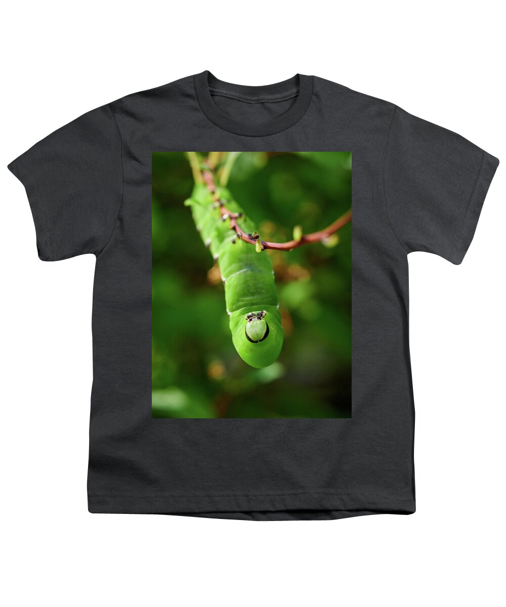 Finland Youth T-Shirt featuring the photograph Privet Hawk Moth caterpillar #2 by Jouko Lehto
