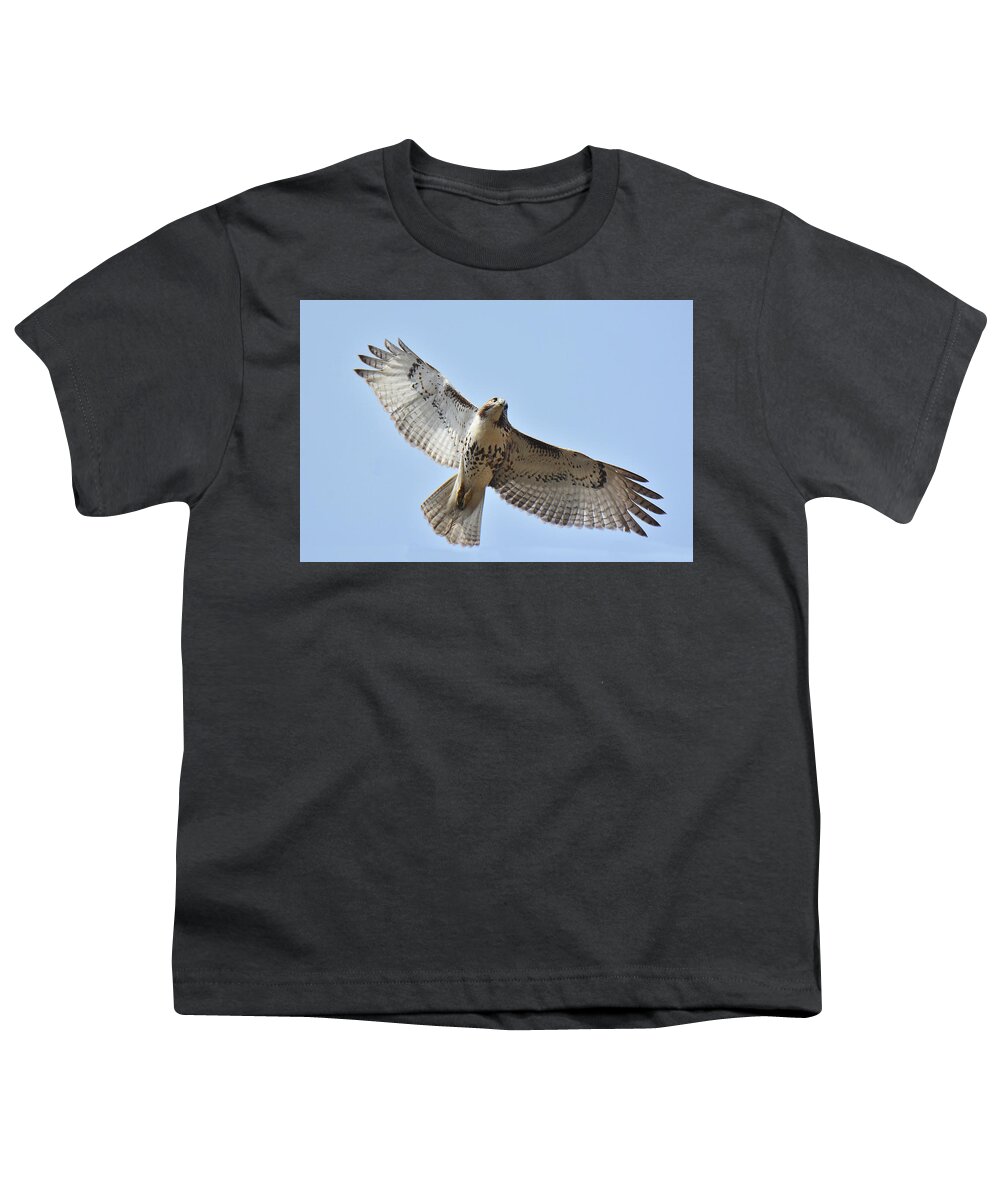 Bird Youth T-Shirt featuring the photograph Red-tailed Hawk #2 by Alan Lenk