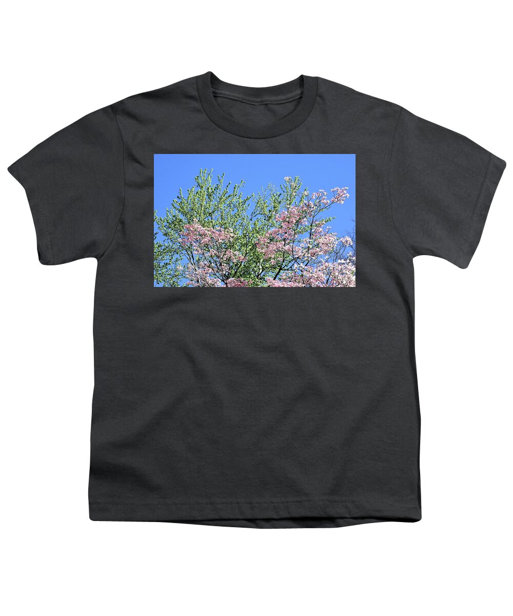 Flowers Youth T-Shirt featuring the photograph Springtime in Louisville #2 by Merle Grenz