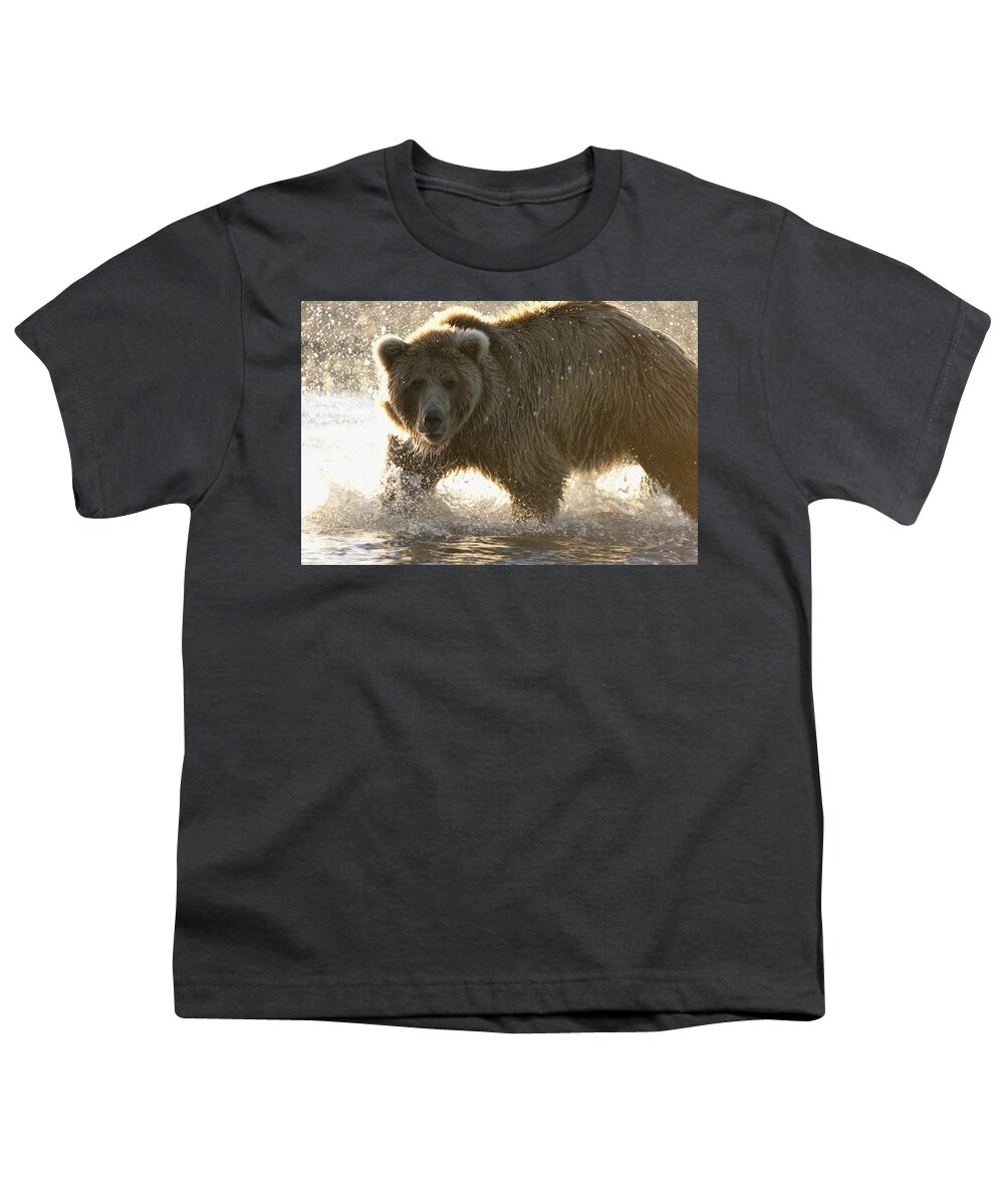 Mp Youth T-Shirt featuring the photograph Grizzly Bear Ursus Arctos Horribilis #20 by Matthias Breiter