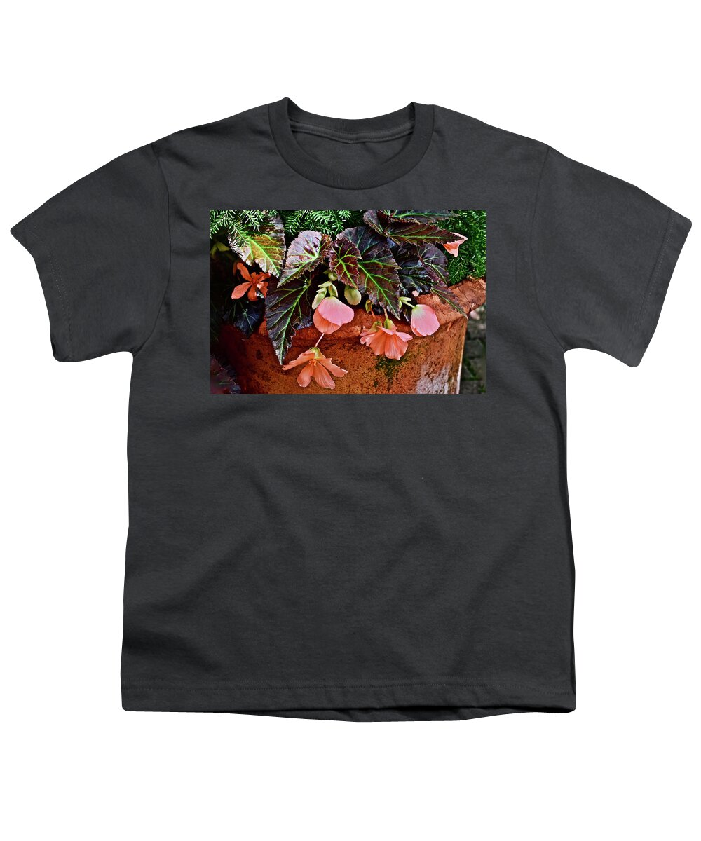 Begonias Youth T-Shirt featuring the photograph 2017 Early July at the Gardens Begonias by Janis Senungetuk
