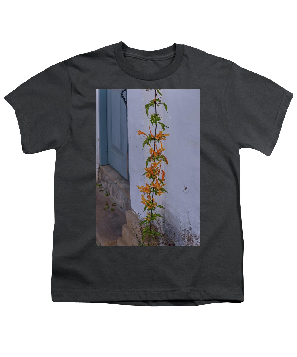 Colombia Youth T-Shirt featuring the digital art Colombia Villa de Leyva Street Scenes #23 by Carol Ailles