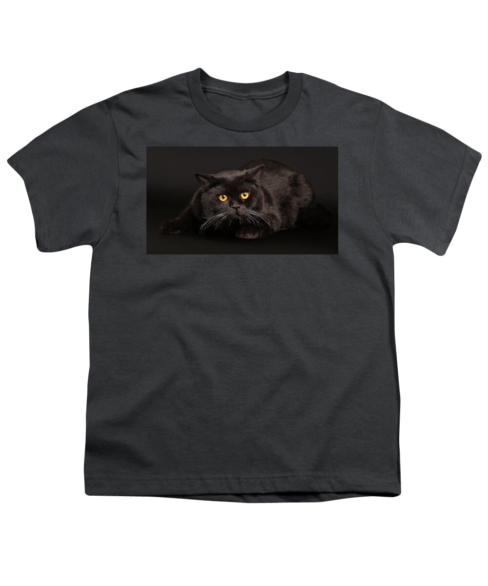 Cat Youth T-Shirt featuring the photograph Cat #243 by Jackie Russo