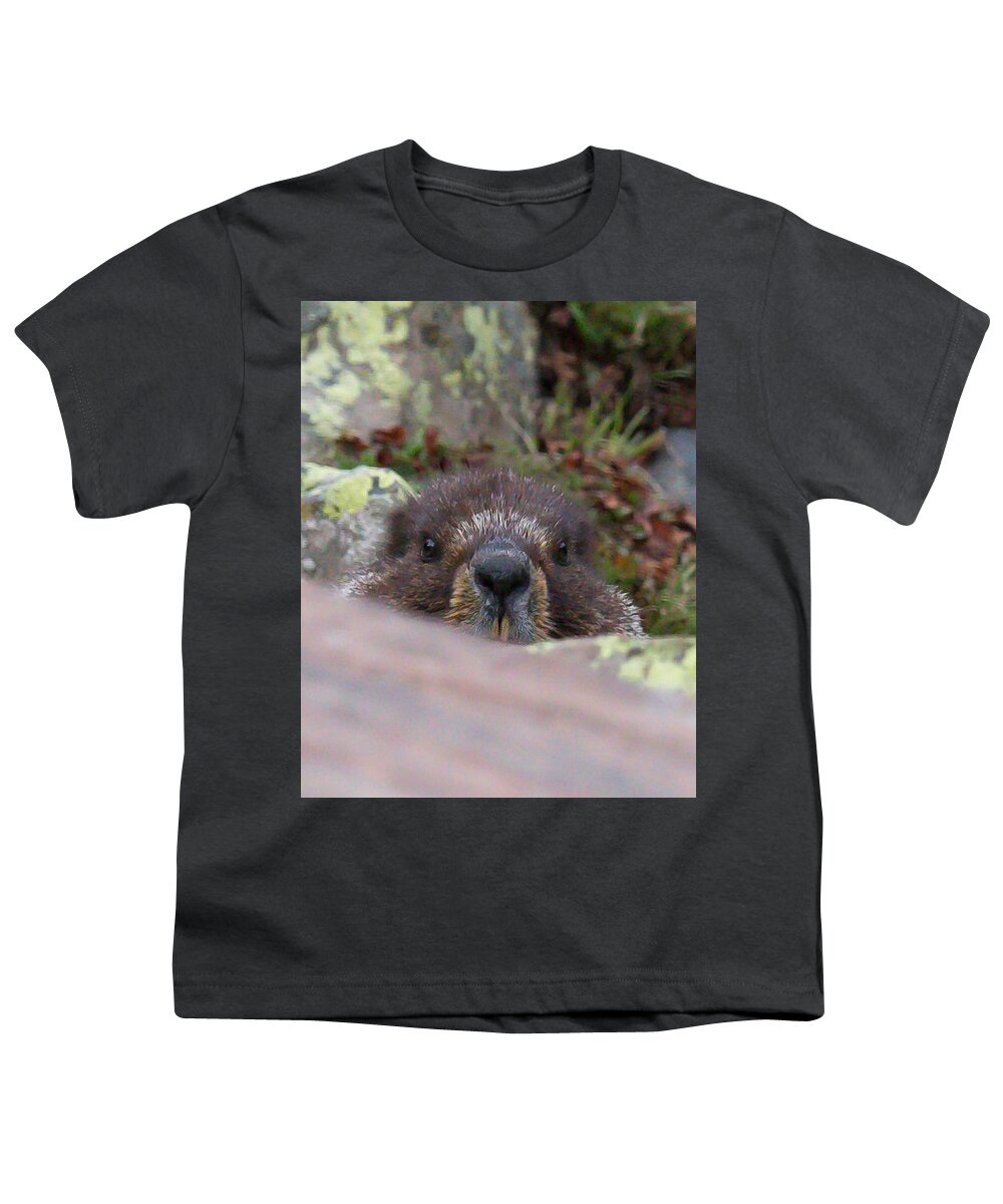 Gofer Youth T-Shirt featuring the photograph New Mexico 4 by David Henningsen