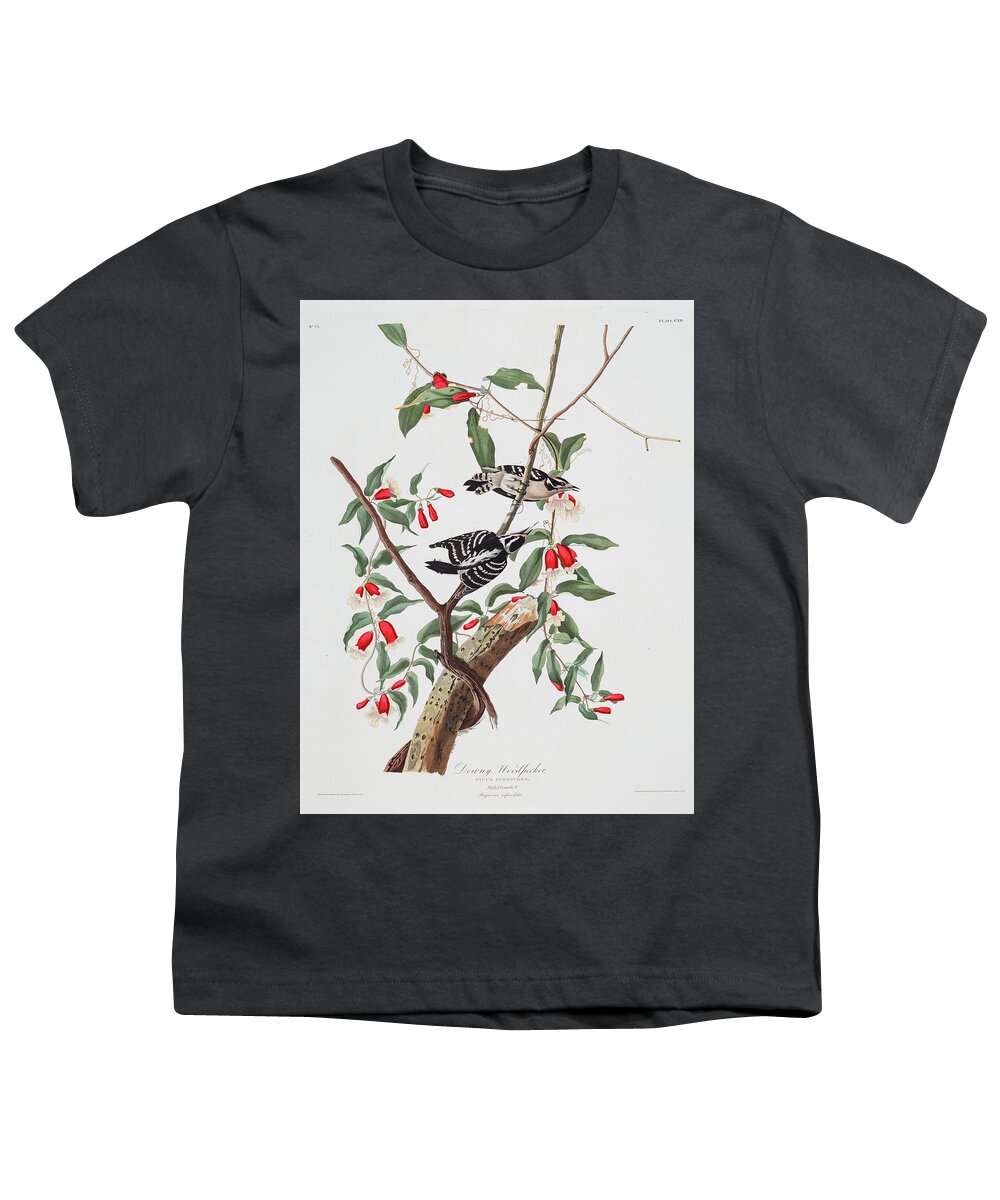 Downy Woodpecker Youth T-Shirt featuring the painting Downy Woodpecker #4 by John James Audubon