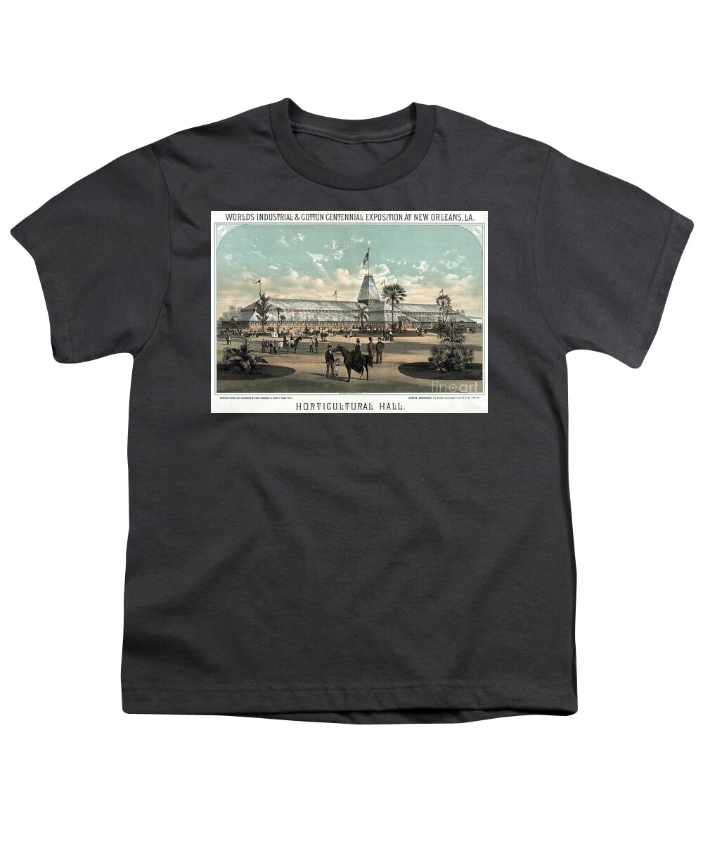 1884 Youth T-Shirt featuring the drawing New Orleans, Fair, 1884. #4 by Granger