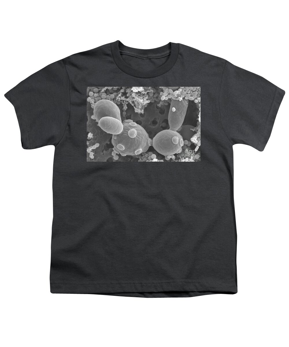 Saccharomyces Cerevisiae Youth T-Shirt featuring the photograph Saccharomyces Cerevisiae #4 by Scimat