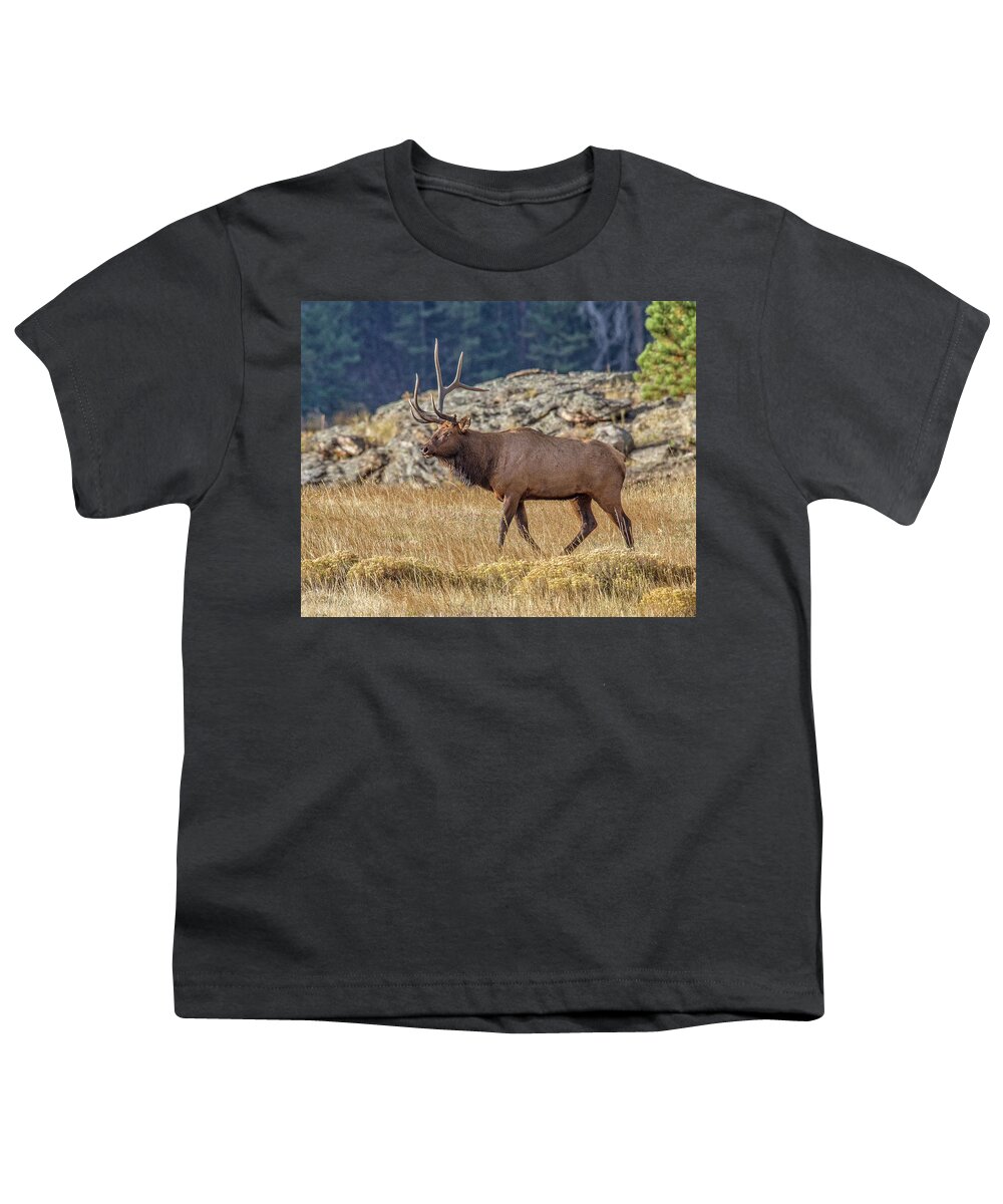 Bull Elk Youth T-Shirt featuring the photograph 6 X 1 Loser Bull Elk by Ronald Lutz
